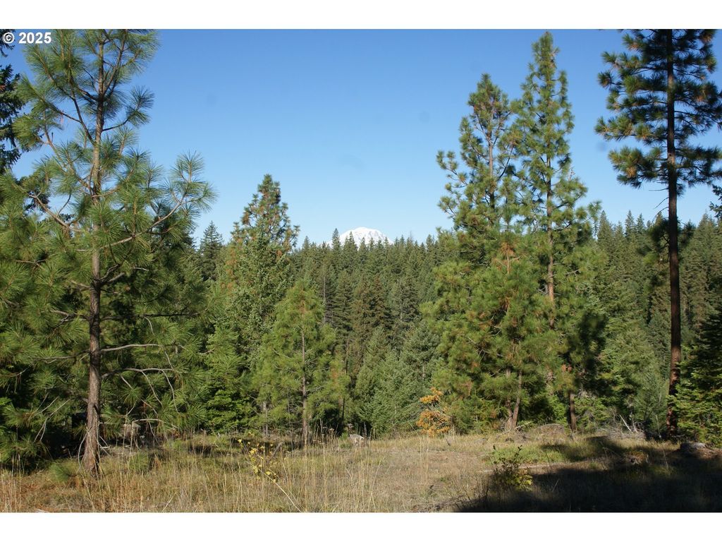 8 Ginger Way, Goldendale