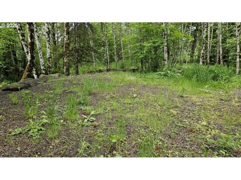 136 Peppermill Rd, Kelso