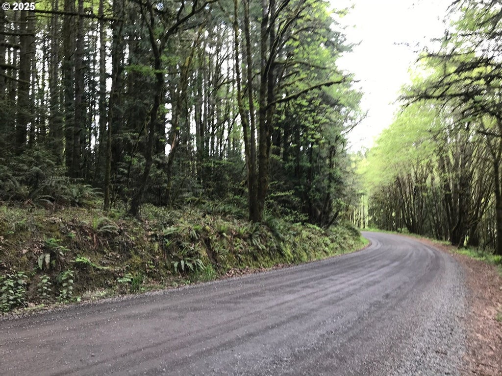 Finnigan Hill Rd, Hillsboro