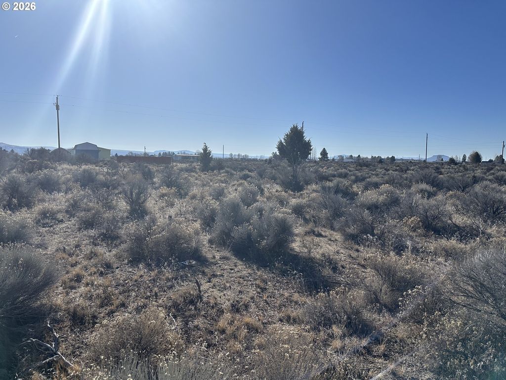 Wonderland St 6200, Christmas Valley