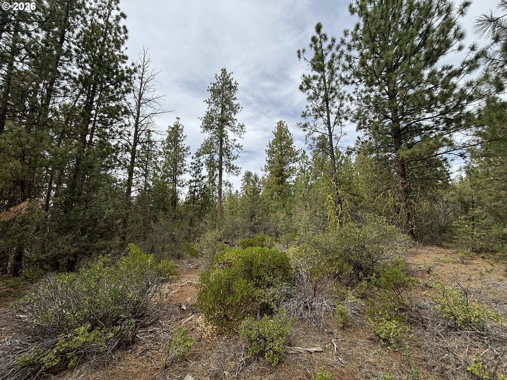 Oriole Dr, Bonanza