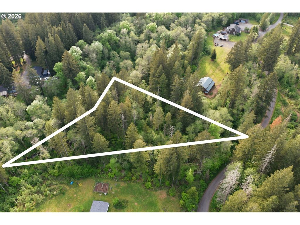 Parcel 231793000, Yacolt