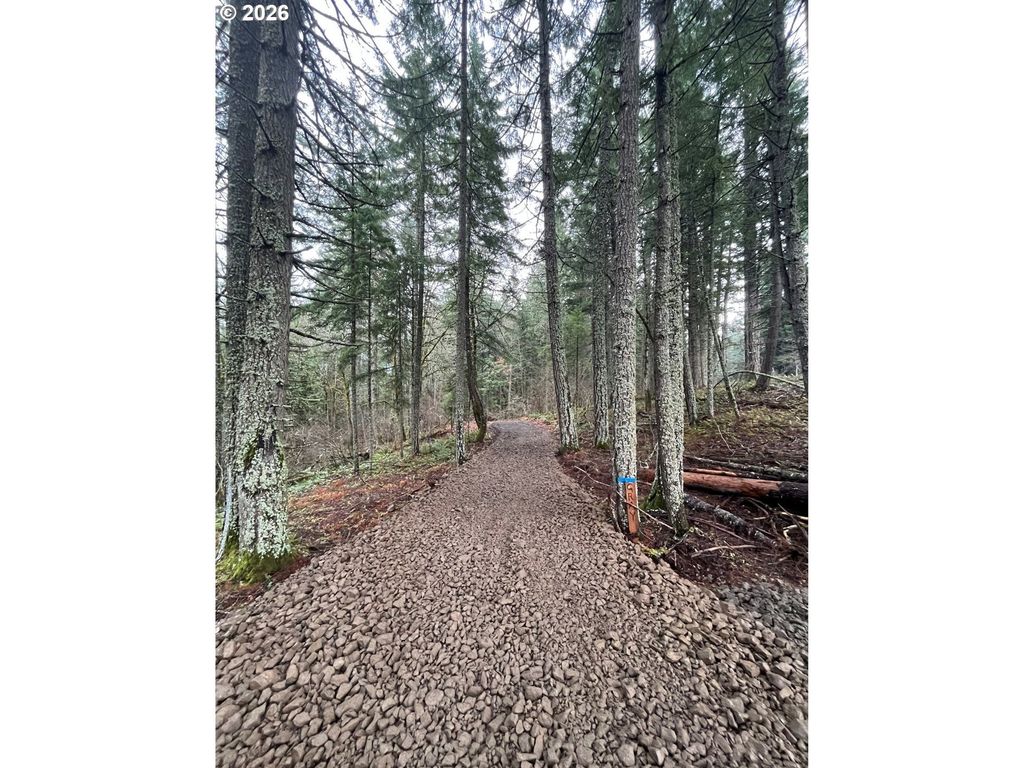7091 Little Buck Creek Rd, White Salmon