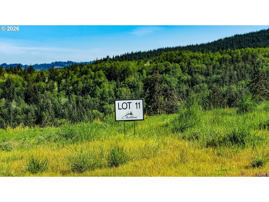 Carmen Sylvia Dr Lot 11, Kalama