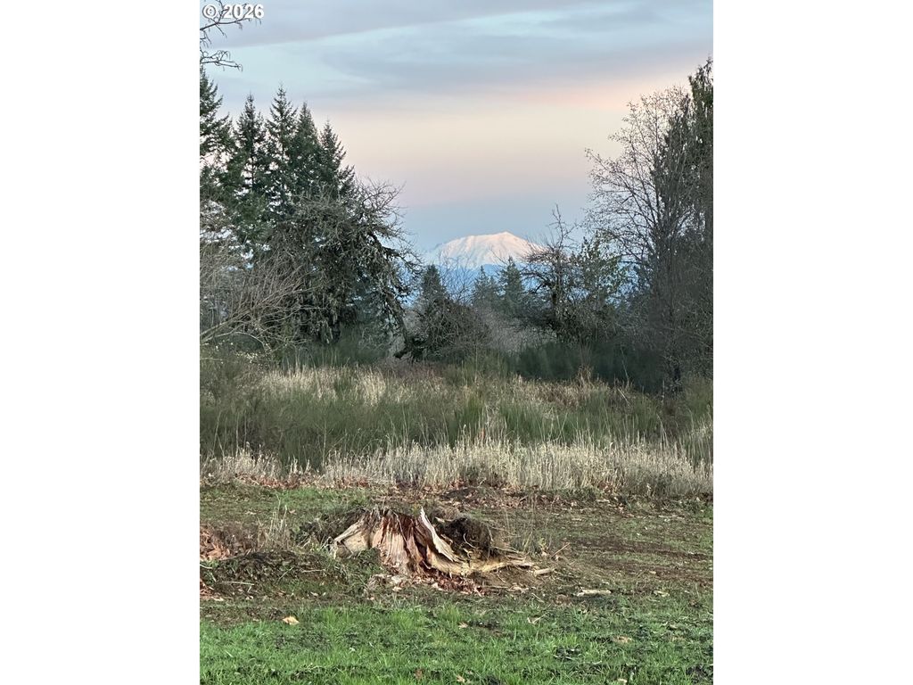239 Suncrest Dr 2, Castle Rock