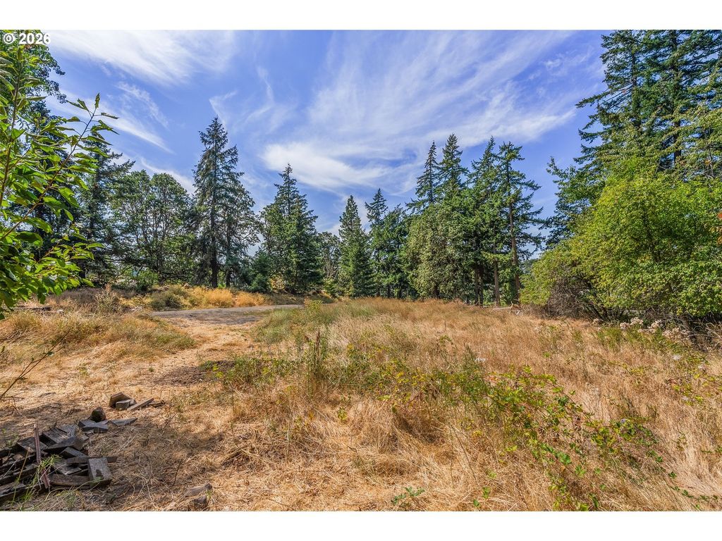 1330 Promise Ln, White Salmon