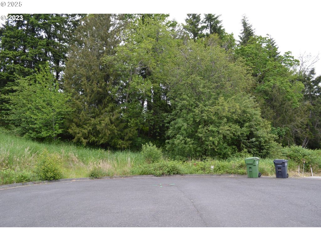 Richards Dr 7, Rainier
