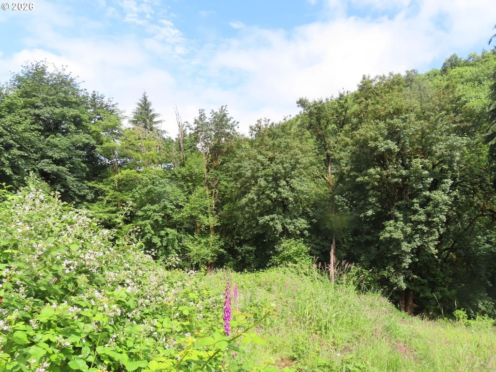 Sylvan Way, Longview