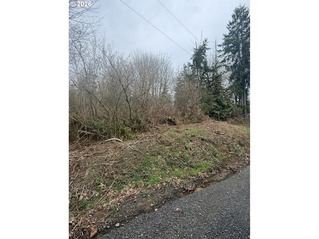 Debast Rd, Rainier