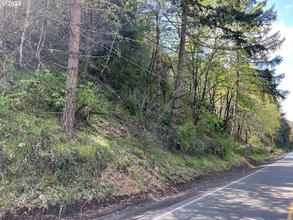 000300 Clarks Branch Rd, Myrtle Creek