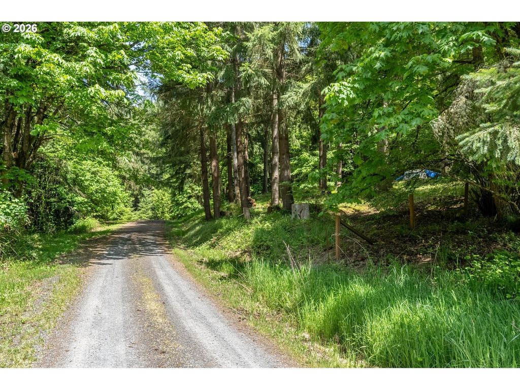120 Solo Meadows Ln, Longview