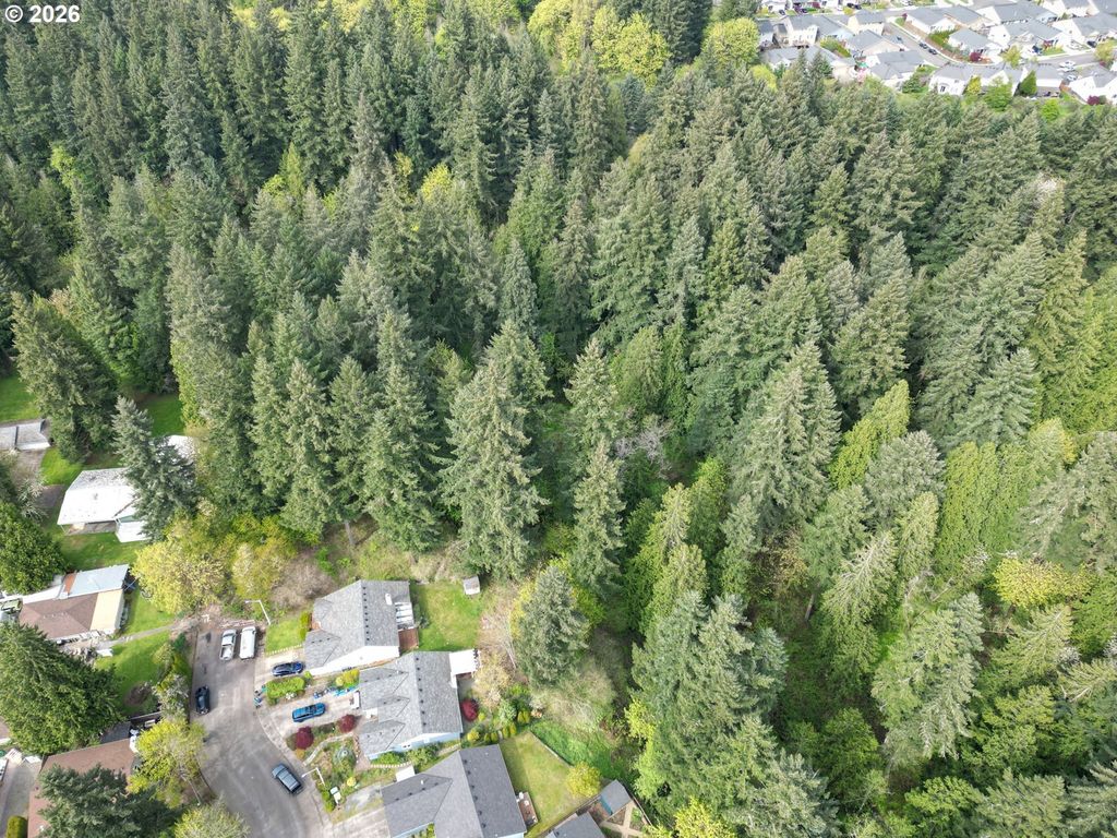 Ne 45th Ave, Vancouver