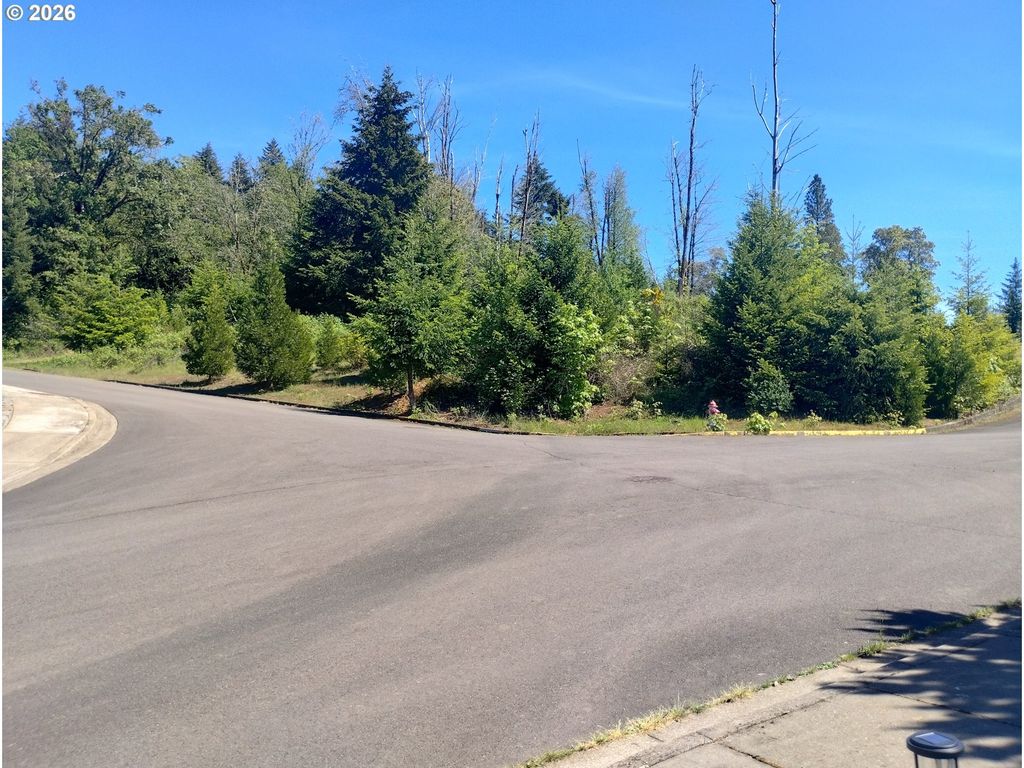 48522 Six Point Dr, Oakridge