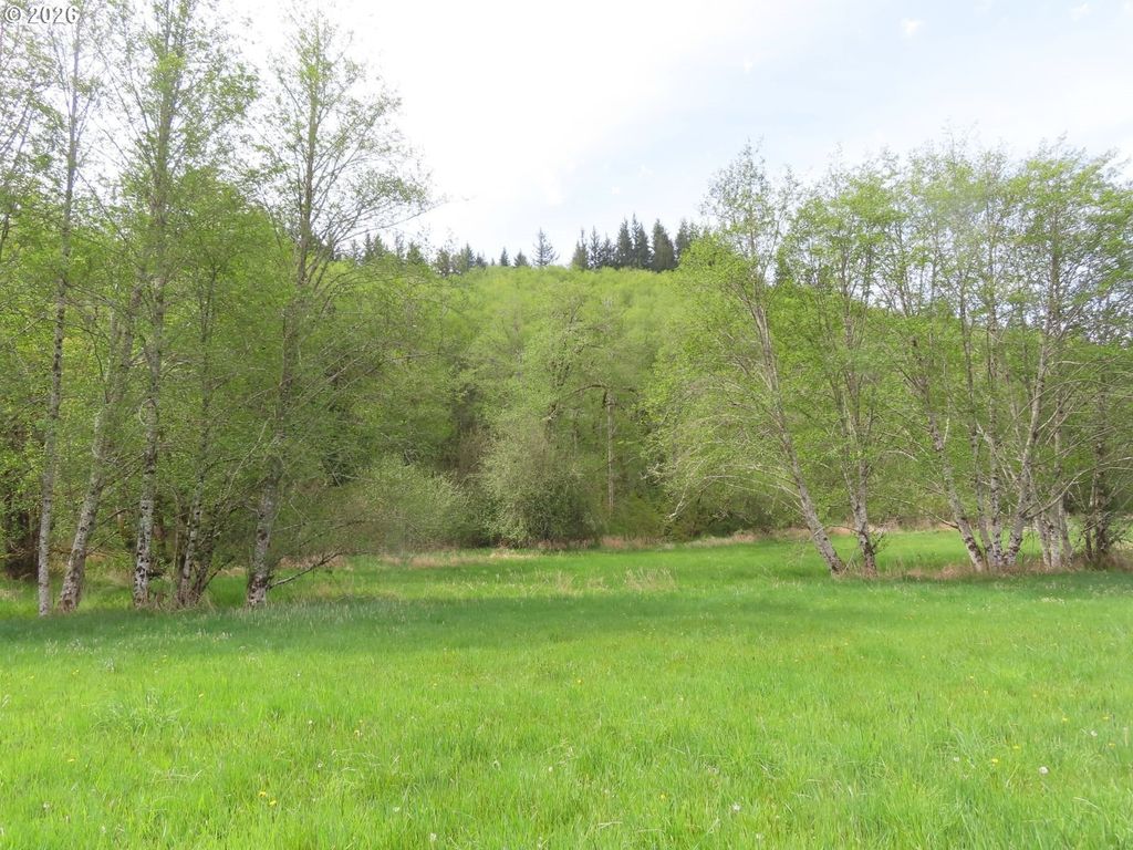 Hagen Rd, Mossyrock