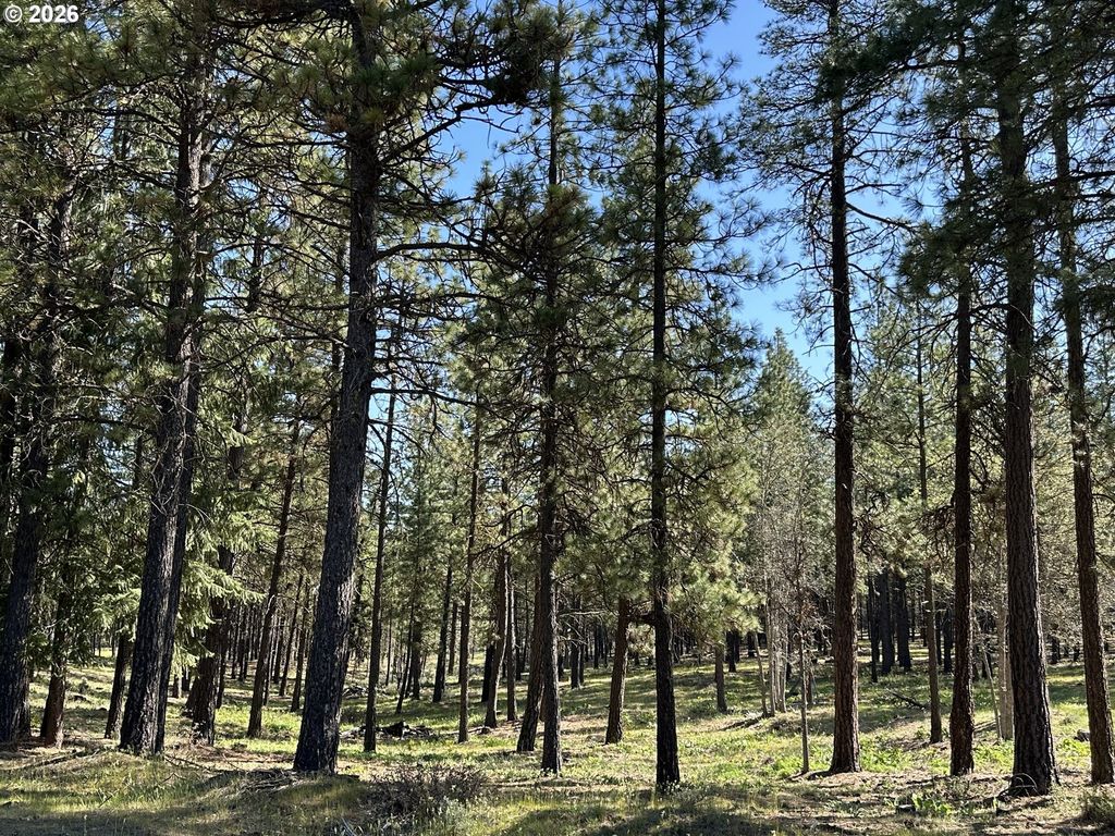 495 Mcnickols Rd, Goldendale