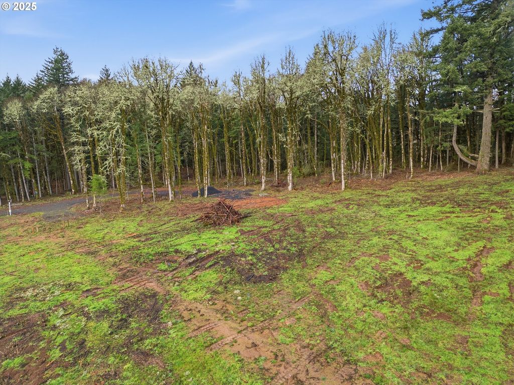 Nw Berry Creek Rd Lot 1, McMinnville