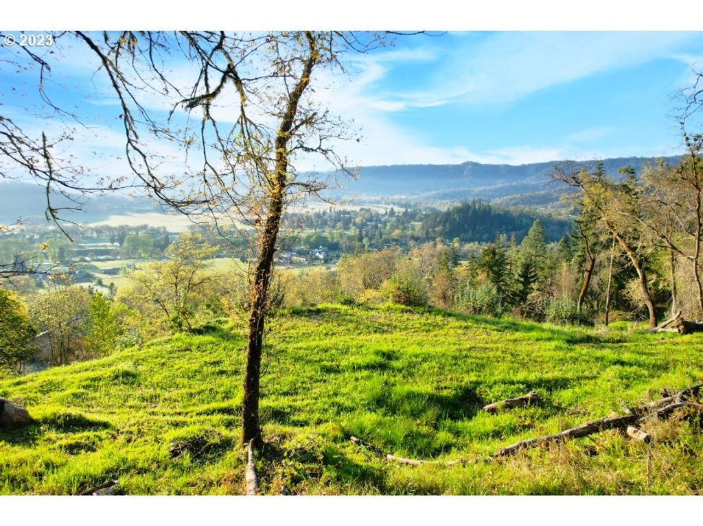 Black Oak Dr, Roseburg