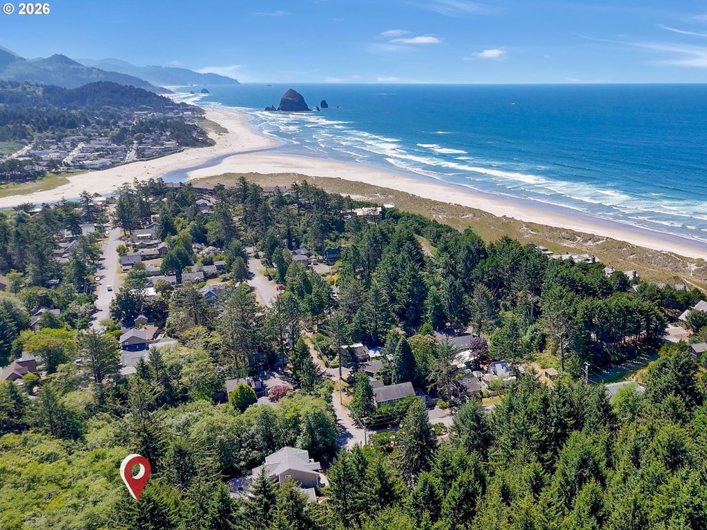 Laurel, Cannon Beach