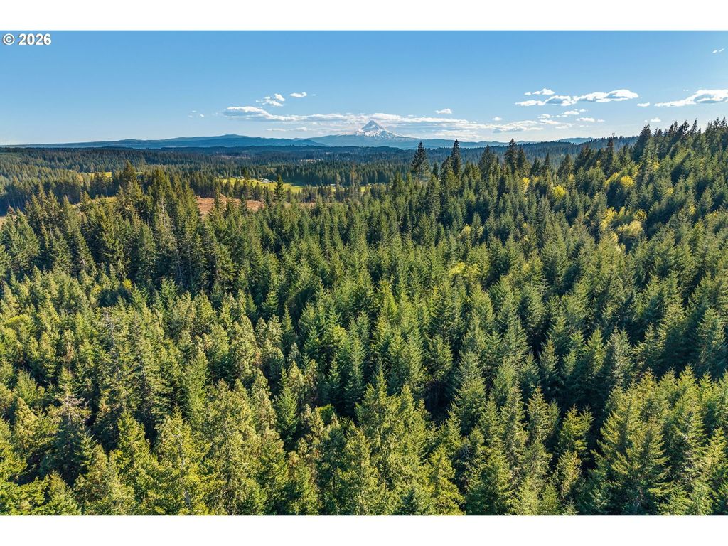 Snowden, White Salmon