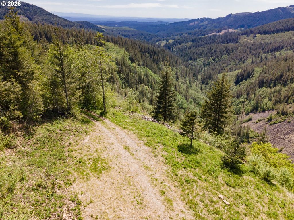 Snag Mountain Rd, Washougal