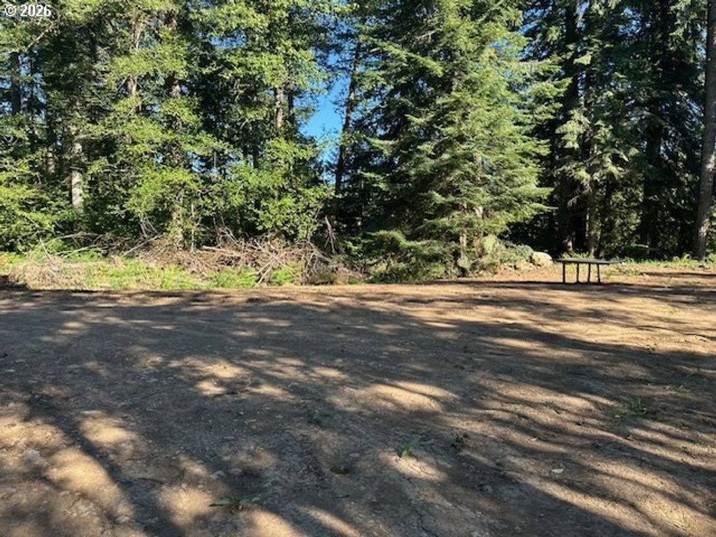 00 Thompson Dr, Washougal