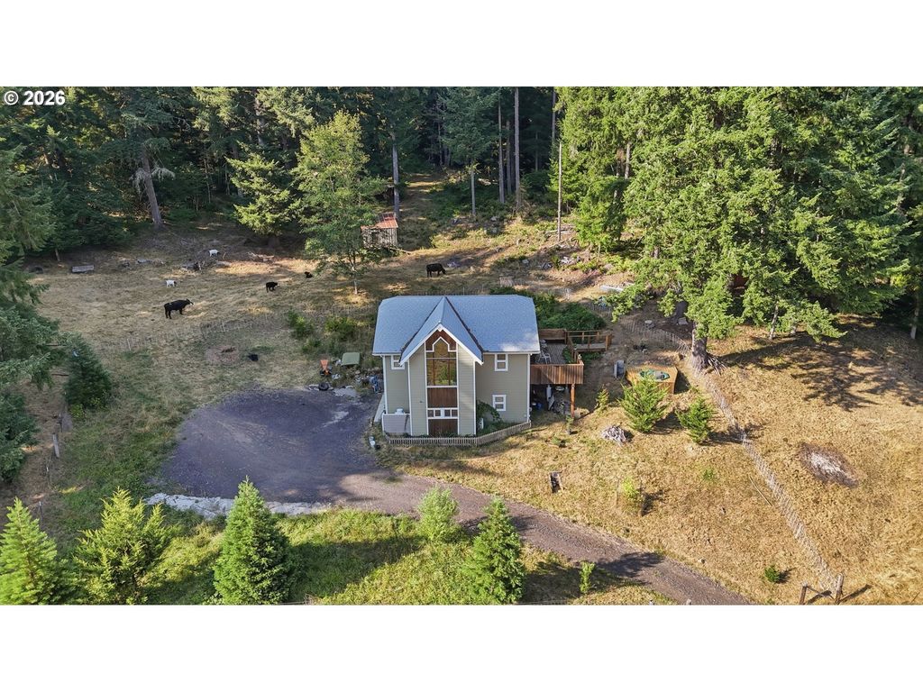 20002 Ne Cedar Creek Rd, Amboy