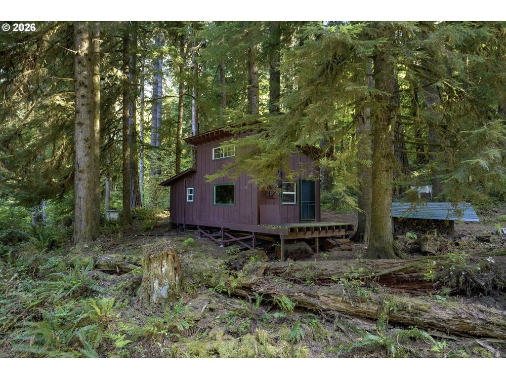 1901 Loon Lake Lot 9 - 10 Rd, Reedsport