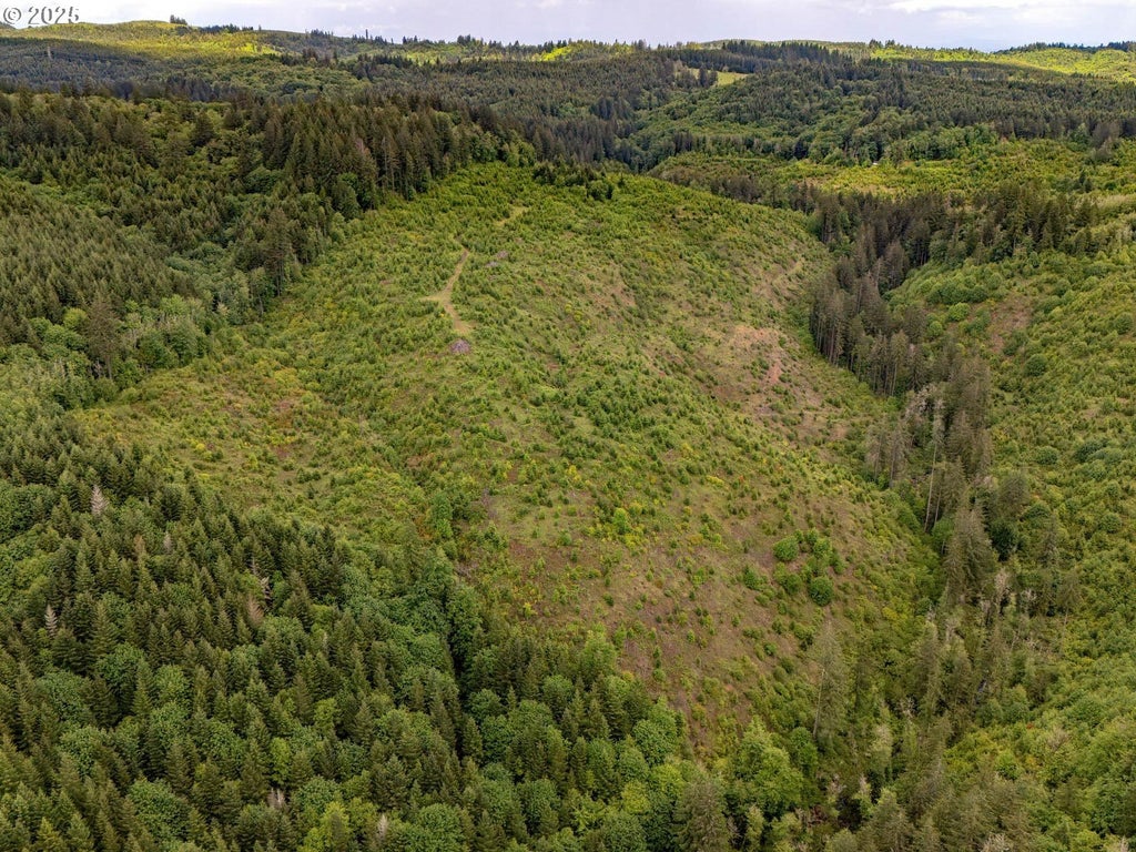 25015 Nw Moreland Rd, North Plains