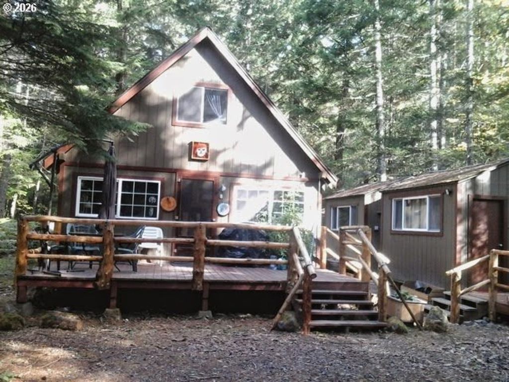 Cabin 100 Northwoods, Cougar