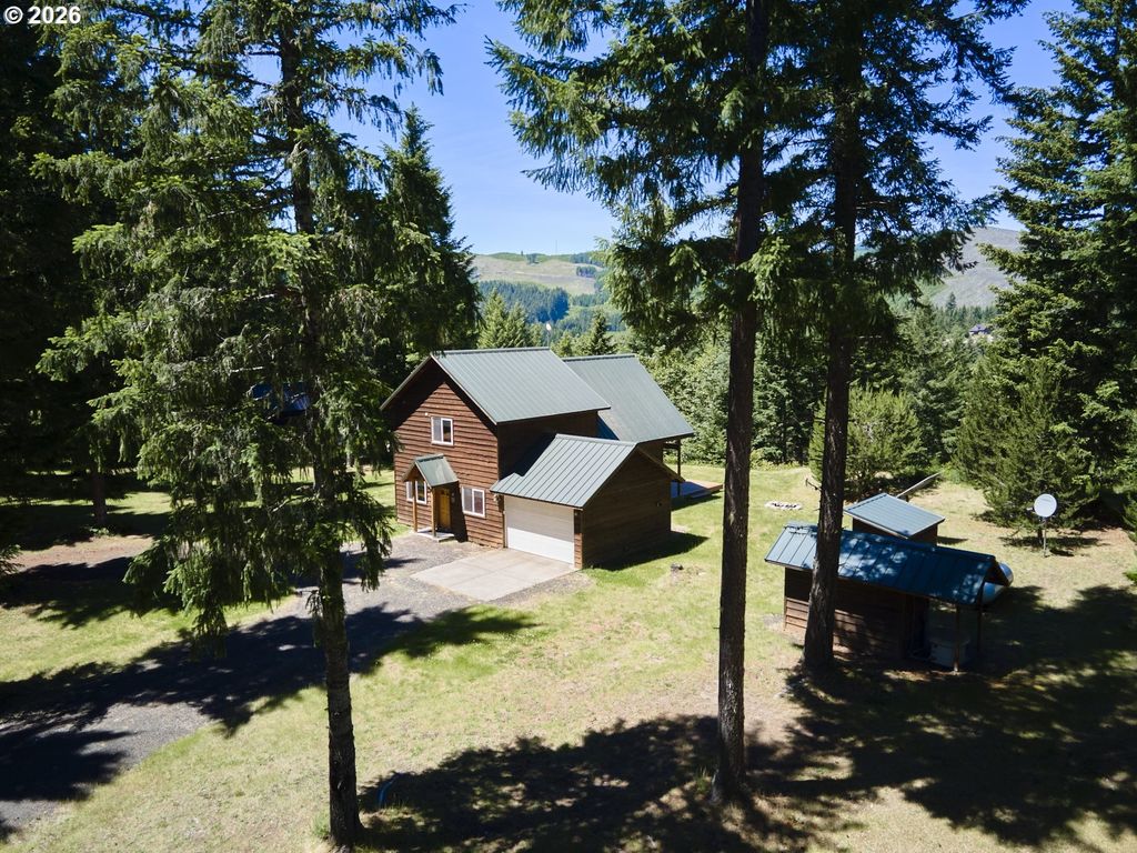 502 Loowit Ln, Cougar