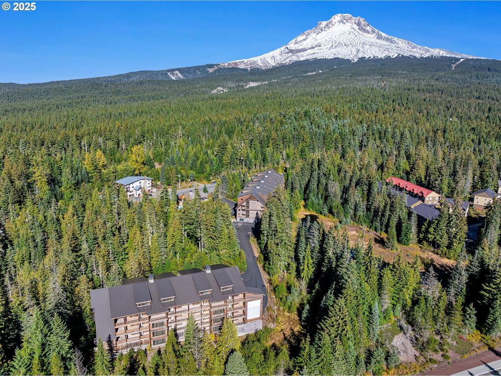 31254 E Collins Lake Rd 22, Government Camp