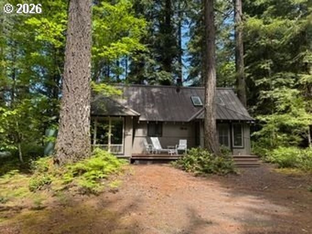 Cabin 64 Northwoods, Cougar
