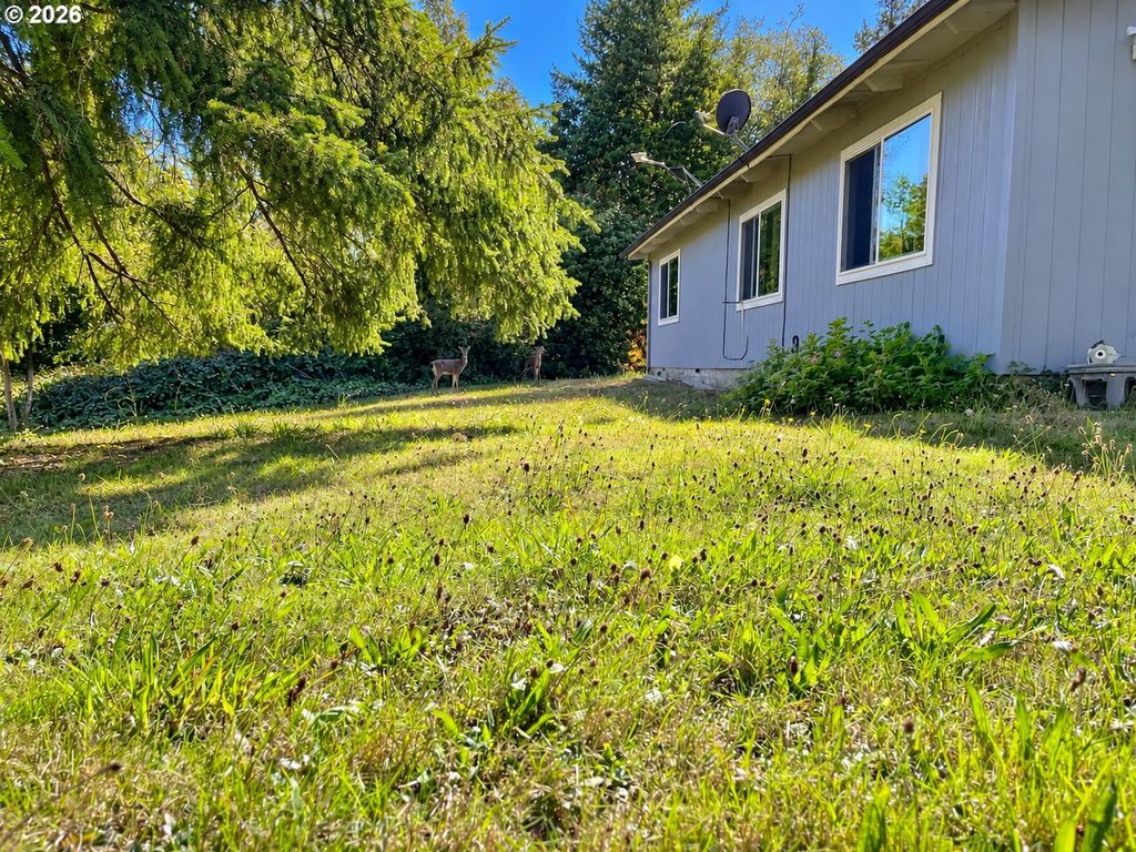 99330 S Bank Chetco River Rd, Brookings
