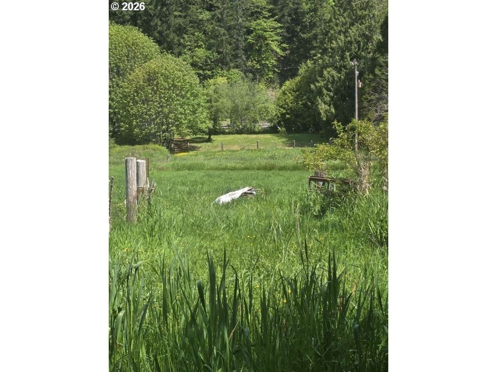 10195 Sweet Creek Rd, Mapleton