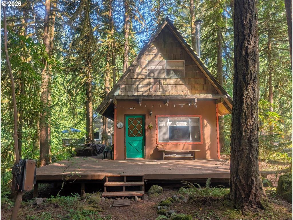 27503 E Marion Ave, Rhododendron