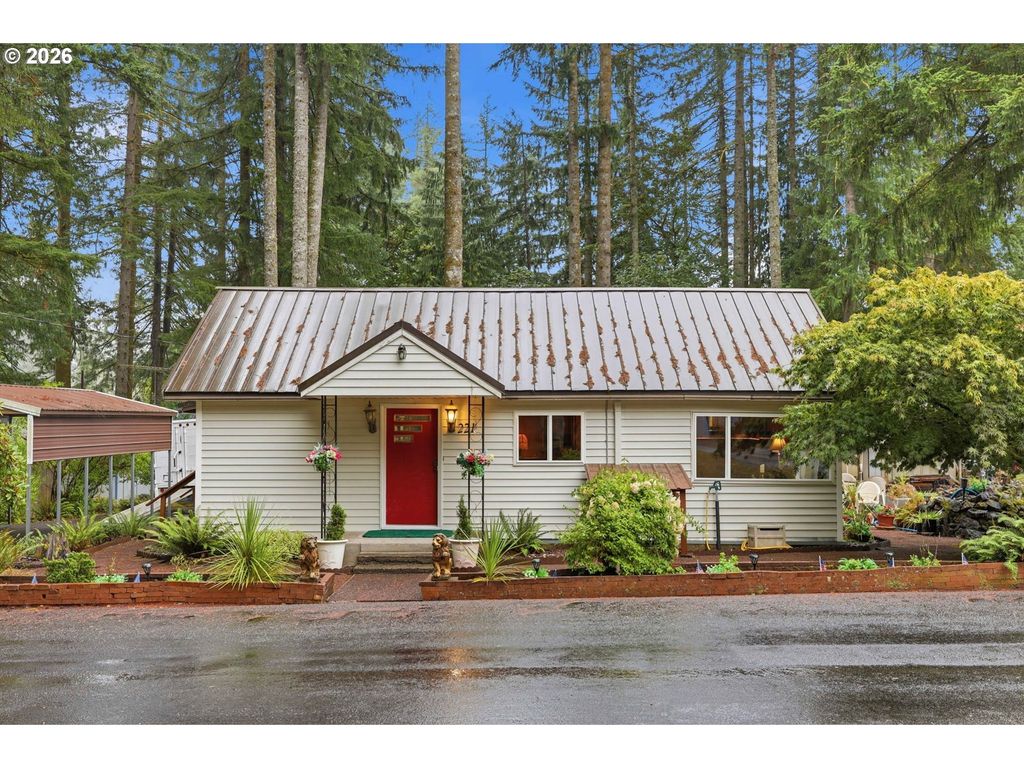 221 Cougar Loop Rd, Cougar