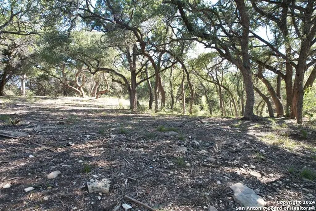 34749 Carries Creek, Bulverde