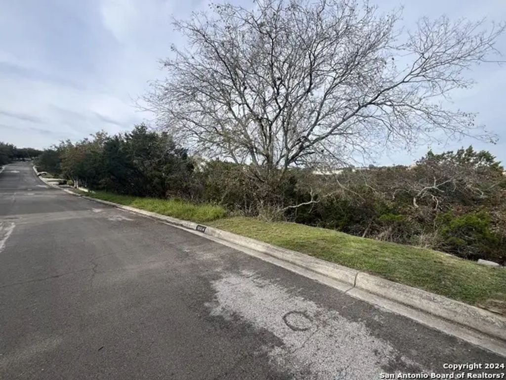 19314 Strauss, San Antonio