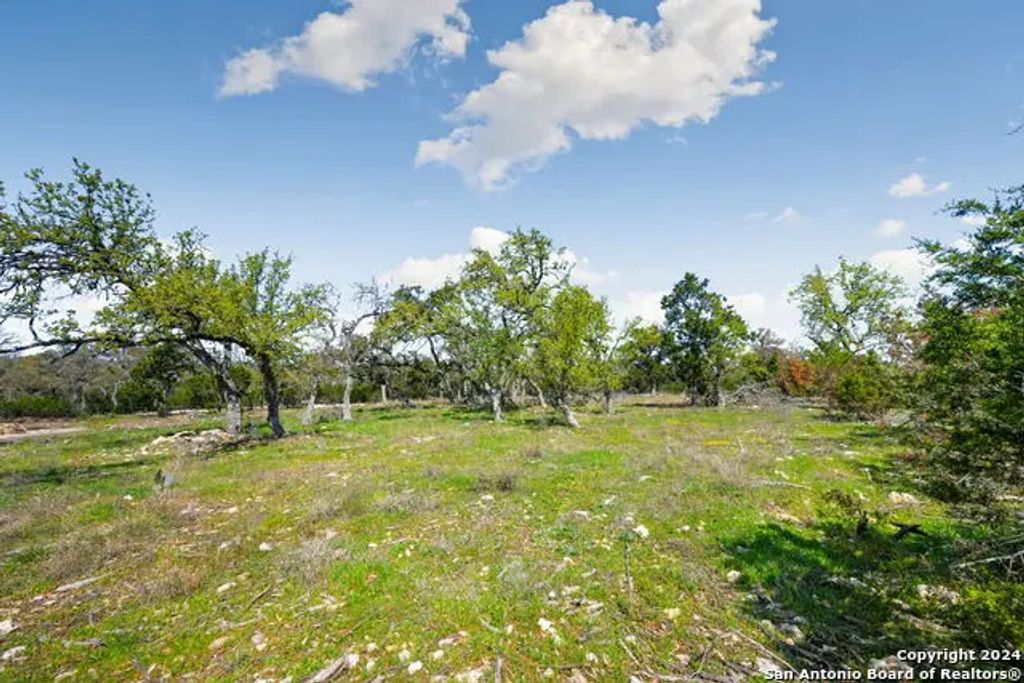 1275 Smoky Loop Rd, New Braunfels