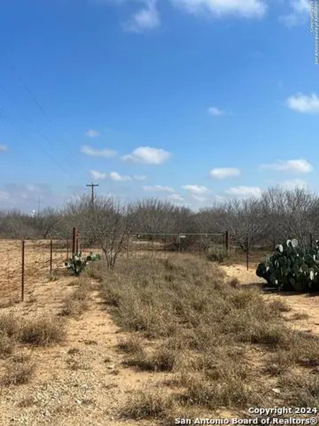 2453 Fm 1917, Carrizo Springs
