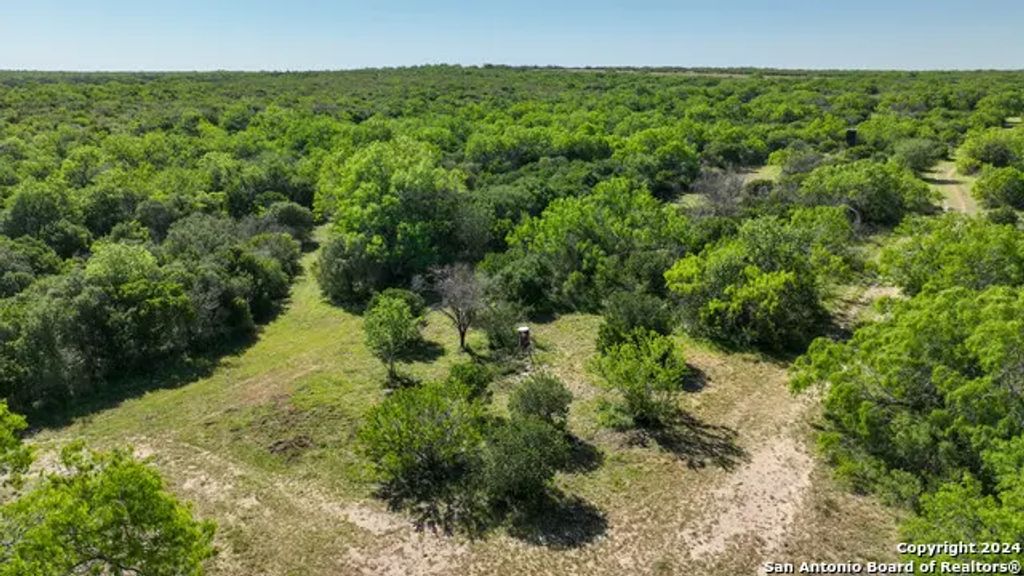 48.25 Acres County Road 114, George West