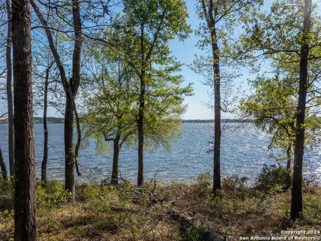 3108 Shadow Pine Drive, Larue