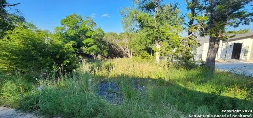 1697 Winding Creek, Spring Branch