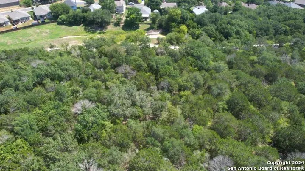 11736 Seiffert, Live Oak