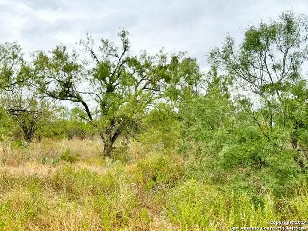 106 Cr 2638, Devine
