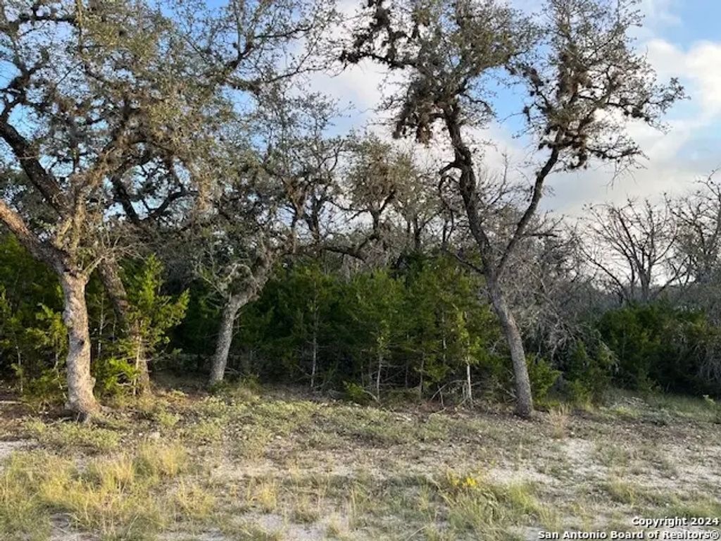 Leinweber Dr., Leakey