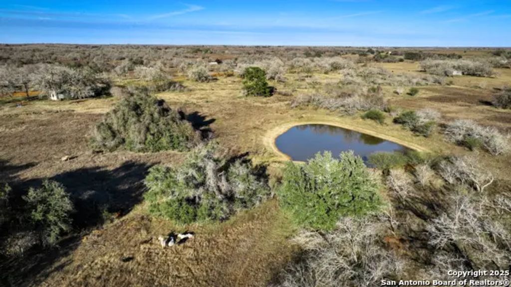 50+/- Acres Fm 1681, Nixon