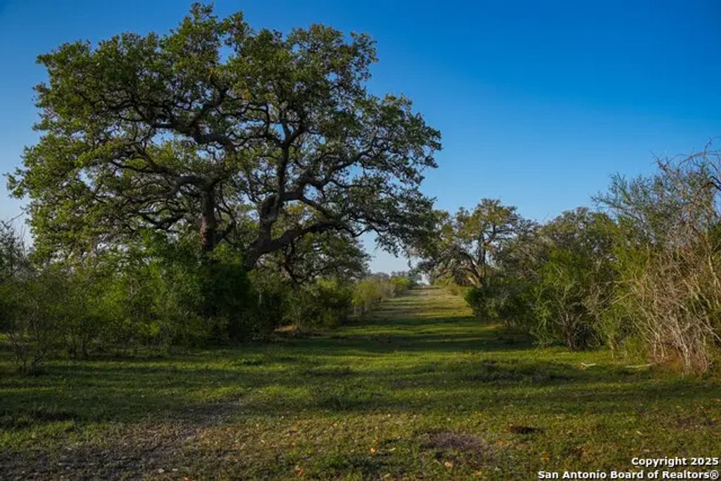 8440 State Highway 239 W, Goliad