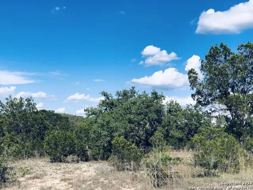 1020 Cliff Circle, Spring Branch