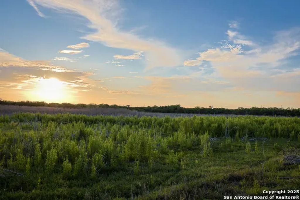 6266 Highway 281, Three Rivers